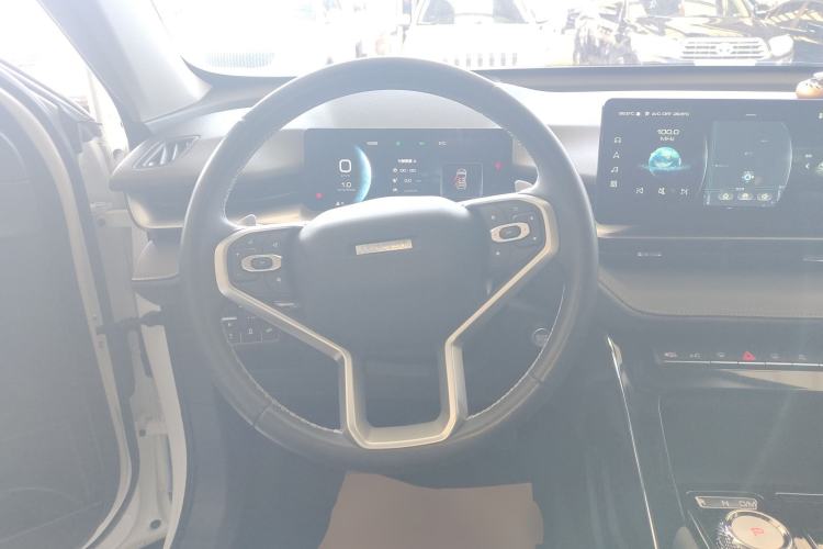 Used Haval H6 2021 3rd Generation 2.0T Automatic Two-Wheel Drive Max