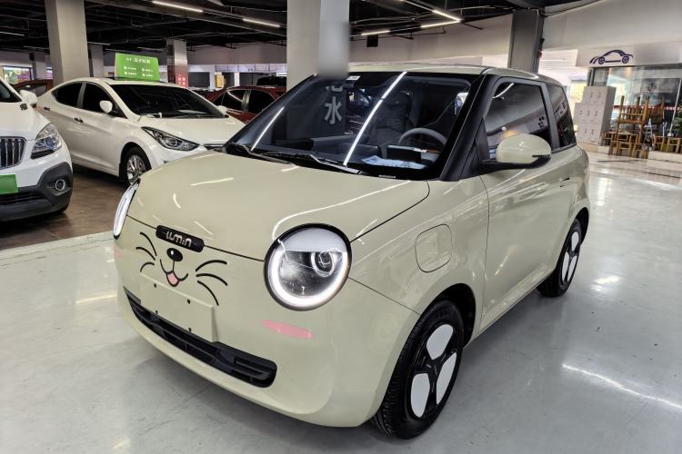 Used Qiyuan Lumin 2024 205km Launch Edition