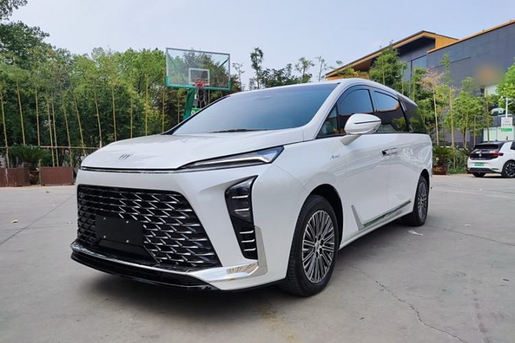 Used Buick GL8 New Energy 2024 Lu Zun Luxury Edition 6-Seater
