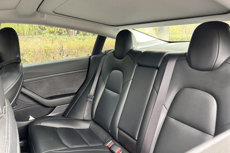 Used Tesla Model 3 2020 Standard Range Rear-Wheel Drive Upgraded Version
