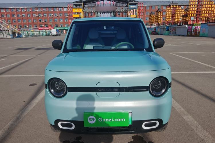 Used  Panda 2025 210 km – Yuanqi Bear
