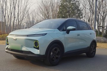 Used Geometry E Firefly 2022 401 km Linglong Tiger 4 Seats