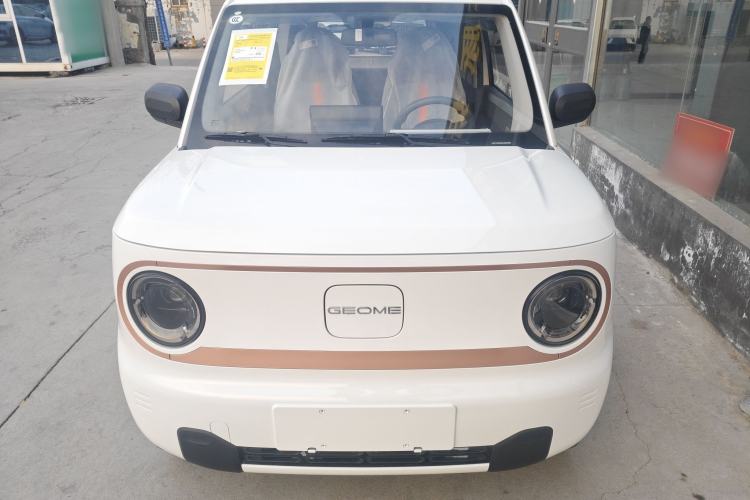 Used  Panda 2024 Panda Mini 200km Endurance Bear