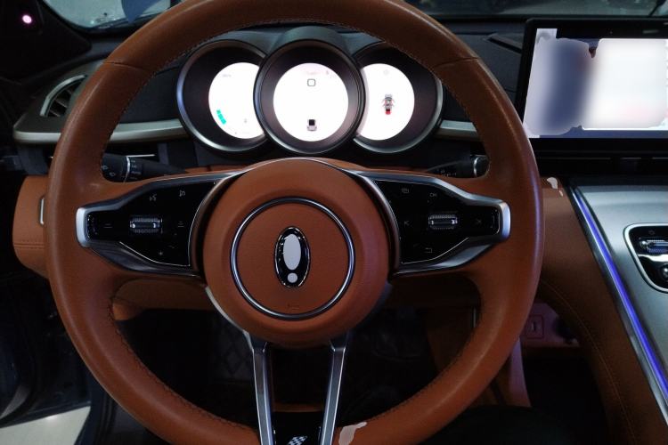 Used ORA Lightning Cat 2022 555 km Luxury Edition