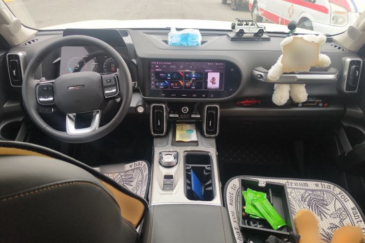 Used Haval DARGO 2024 2.0T DCT Chinese Rural Dog Edition