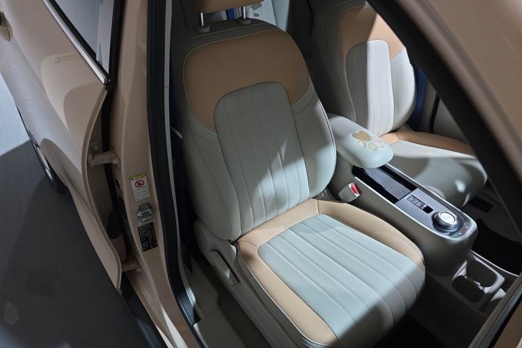 Used ORA Good Cat 2022 Morandi Edition 400km Standard Range Luxury Version Lithium Iron Phosphate
