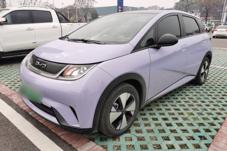Used BYD Dolphin 2023 420 km Free Version