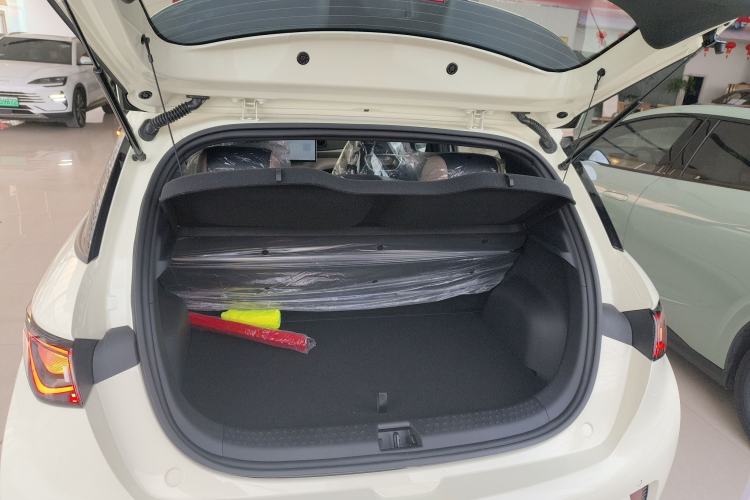 Used BYD Dolphin 2025 420km Free Edition
