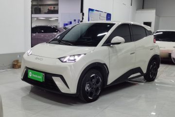 Used BYD Seagull 2025 305 km Free Version