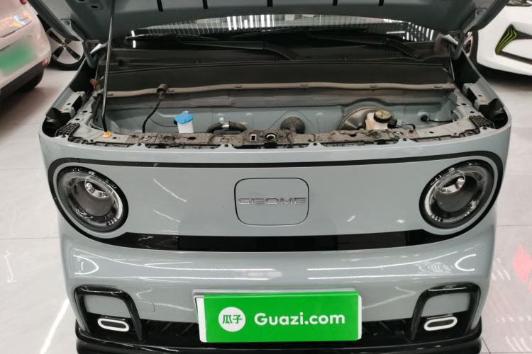 Used  Panda 2024 200km Panda Kart
