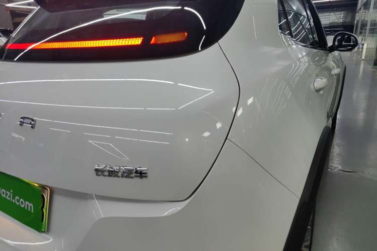 Used ORA Good Cat GT 2024 Revised Edition Mulan Version 401 km Luxury Grade
