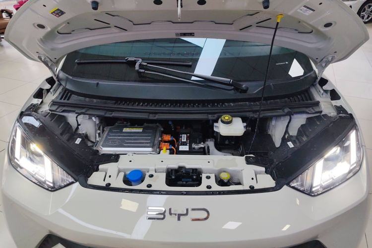 Used BYD Seagull 2025 305 km Free Version
