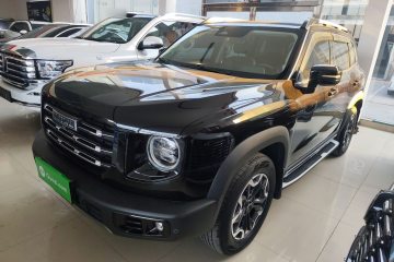Used Haval DARGO 2021 2.0T DCT 4x4 Chinese Rural Dog Edition