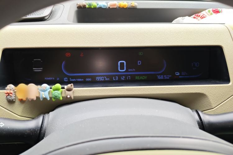 Used  Panda 2024 200km Panda Rider
