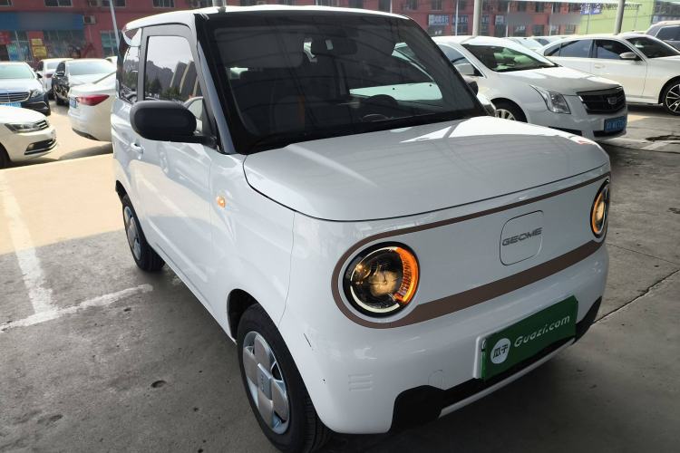 Used  Panda 2024 Panda Mini 200km Endurance Bear
