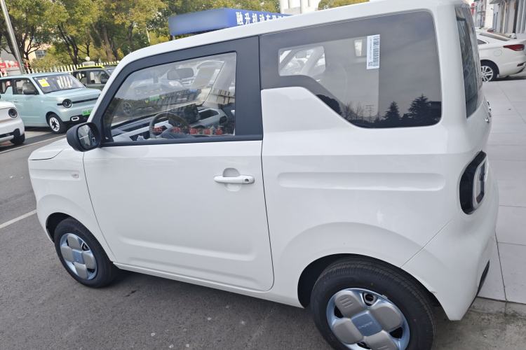 Used  Panda 2024 Panda Mini 200km Endurance Bear