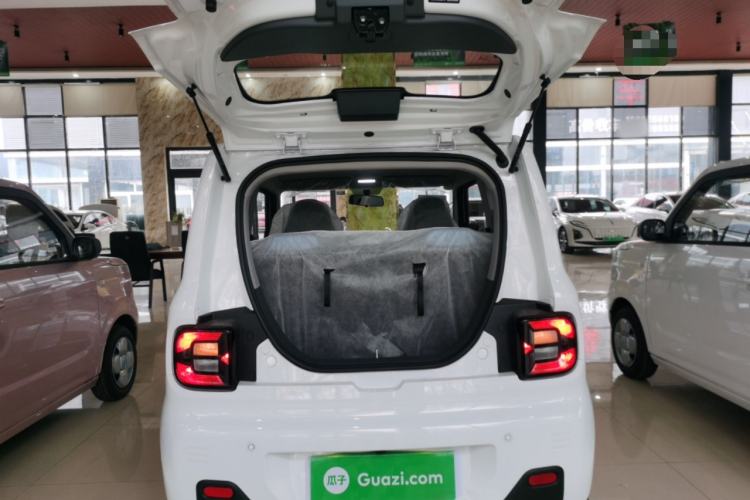 Used  Panda 2024 Panda Mini 200km Endurance Bear
