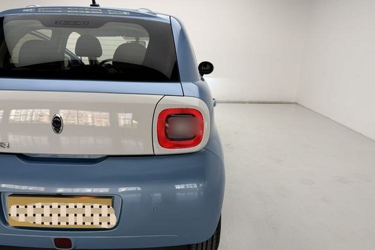 Used ORA Black Cat 2019 351 km Family Edition