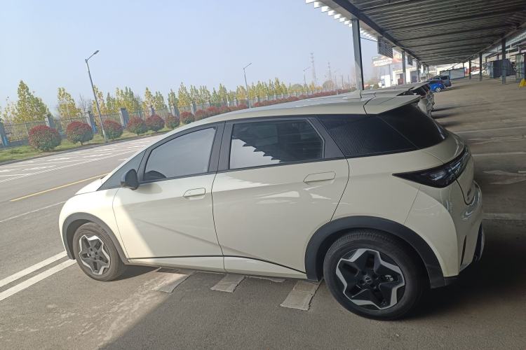 Used BYD Dolphin 2024 Honor Edition 420km Freedom Version