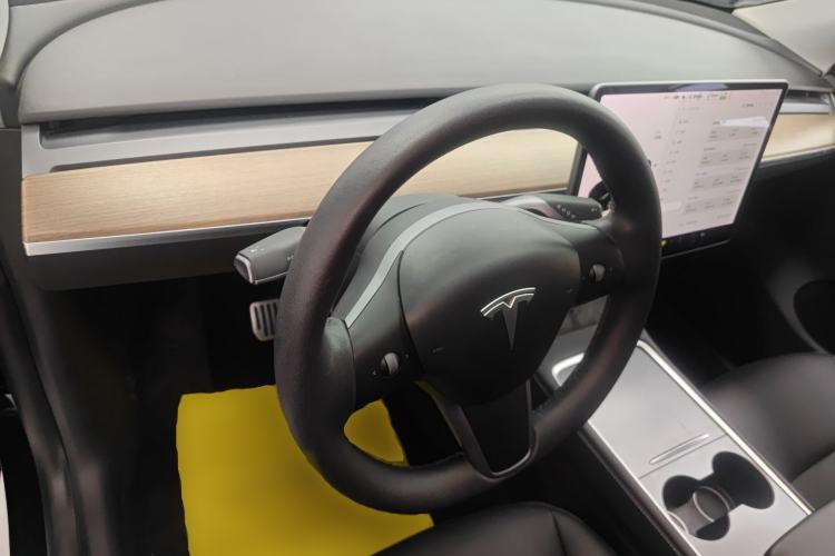 Used Tesla Model Y 2021 Standard Range Rear-Wheel Drive Version
