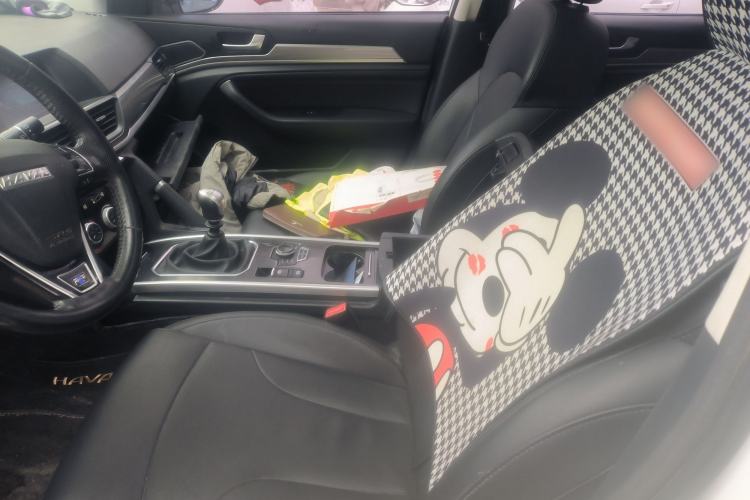 Used Haval H6 2018 Blue Label Sport Edition 1.5T Manual Two-Wheel Drive Elite Model