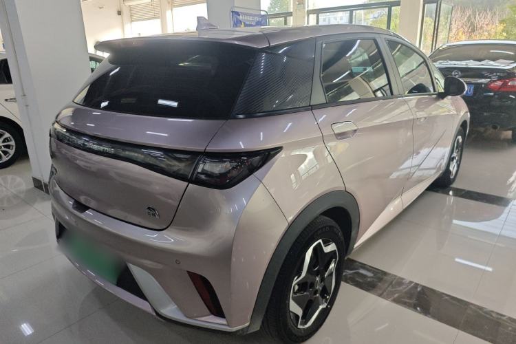 Used BYD Dolphin 2021 405 km Free Version
