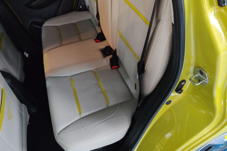 Used SOL E10X 2022 Flower Fairy Design Four-Leaf Clover