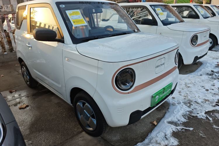 Used  Panda 2024 Panda Mini 200km Endurance Bear