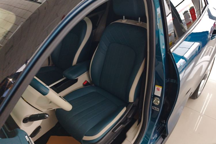 Used ORA Good Cat 2021 400km Standard Range Venus Edition Lithium-Ion Battery
