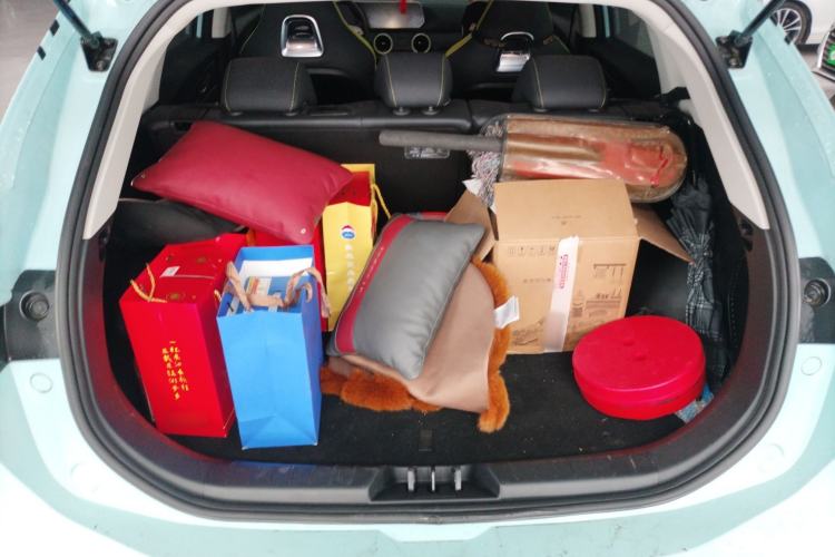 Used FORTHING Friday 2023 430 Elite
