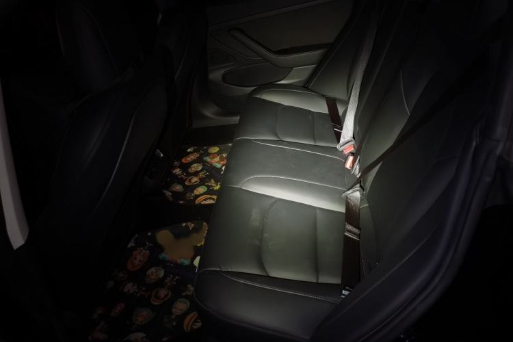 Used Tesla Model 3 2020 Revised Version Standard Range Rear-Wheel Drive – Upgraded Edition
