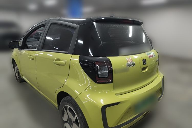 Used SOL E10X 2022 Flower Fairy Style Baby's Breath
