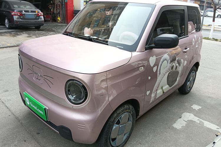 Used  Panda 2023 Panda Mini 200km Endurance Bear
