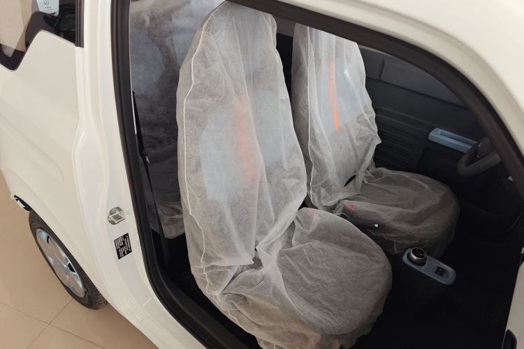 Used  Panda 2024 Panda Mini 200km Endurance Bear