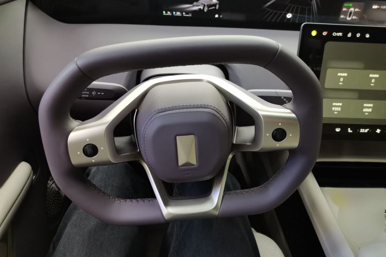 Used  06 2025 Max Extended-Range Edition
