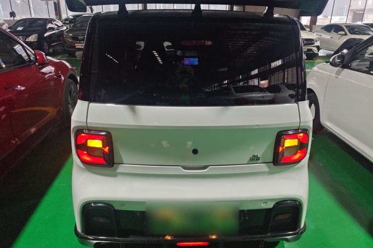 Used  Panda 2024 200km Panda Kart
