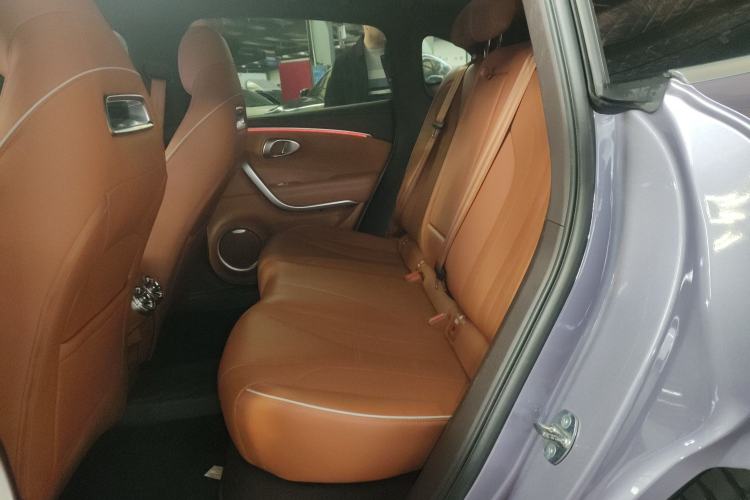 Used ORA Lightning Cat 2022 600 km All-Wheel Drive High-Performance Version
