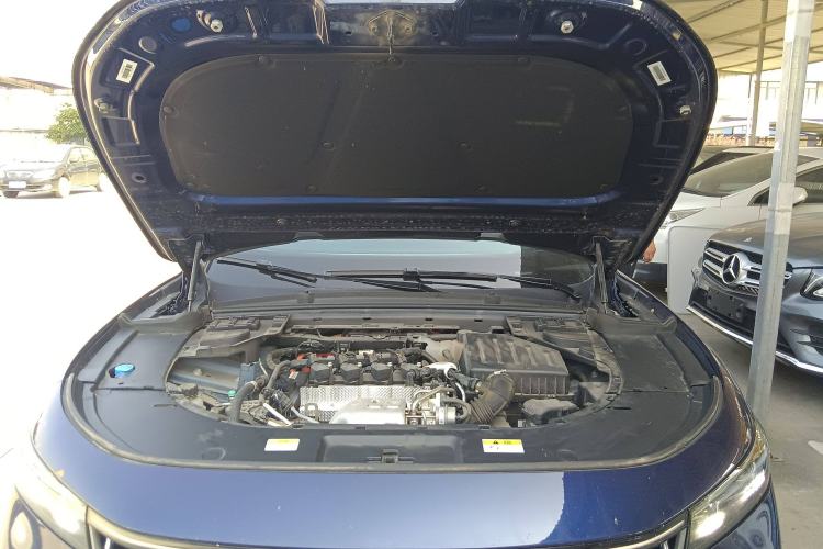 Used VOYAH FREE 2021 Four-Wheel Drive Standard Range-Extended Exclusive Luxury Package