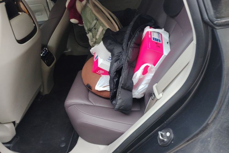 Used Leapmotor C11 2023 Pure Electric 500 Smart Edition
