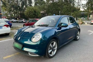 Used ORA Good Cat 2023 401 km Standard Range Luxury Version Lithium Iron Phosphate