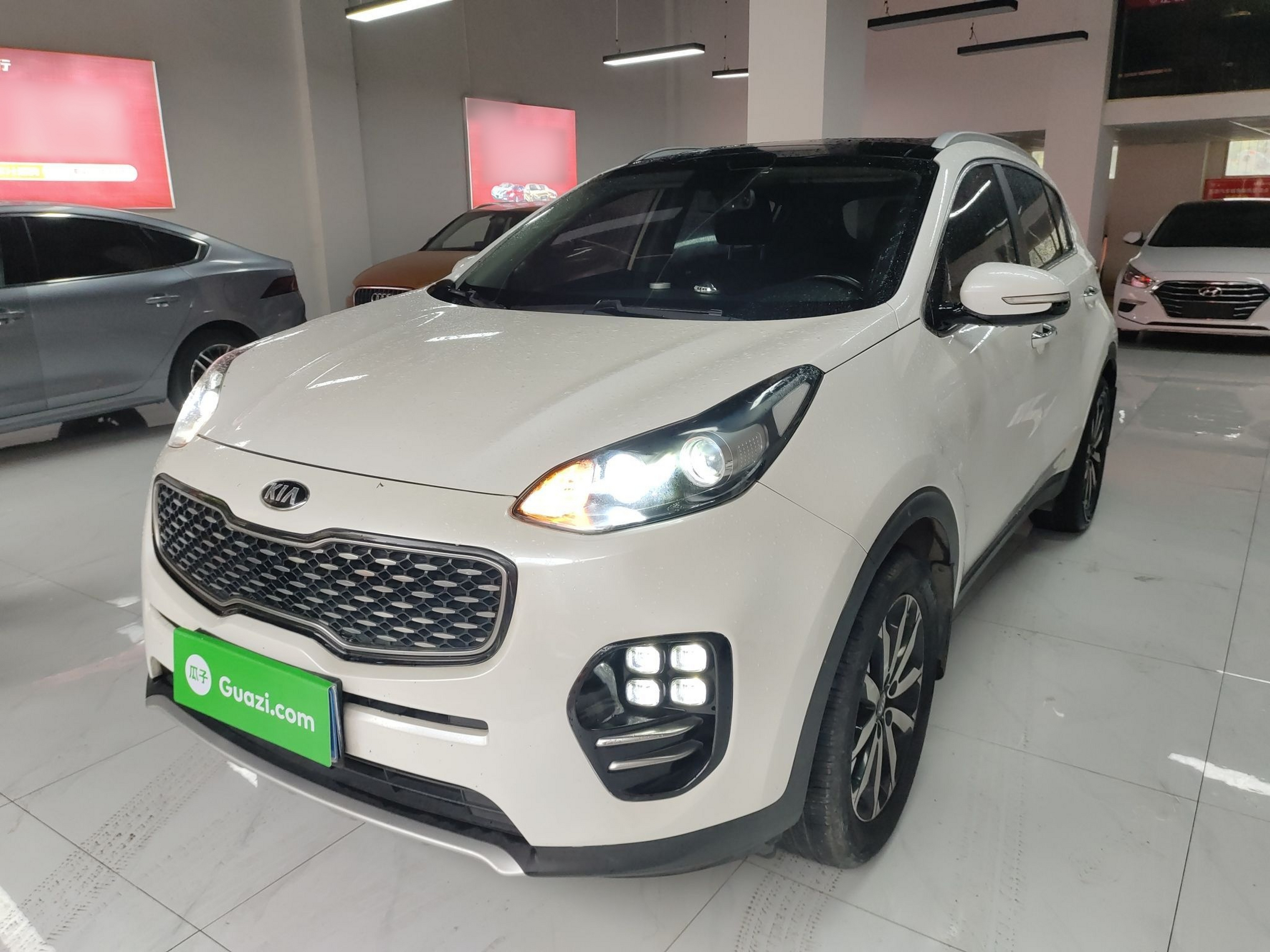 تحت مقدمة السيارة