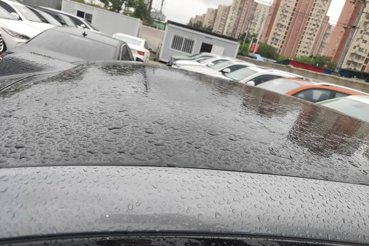 Used  07 2024 Max Extended-Range Edition
