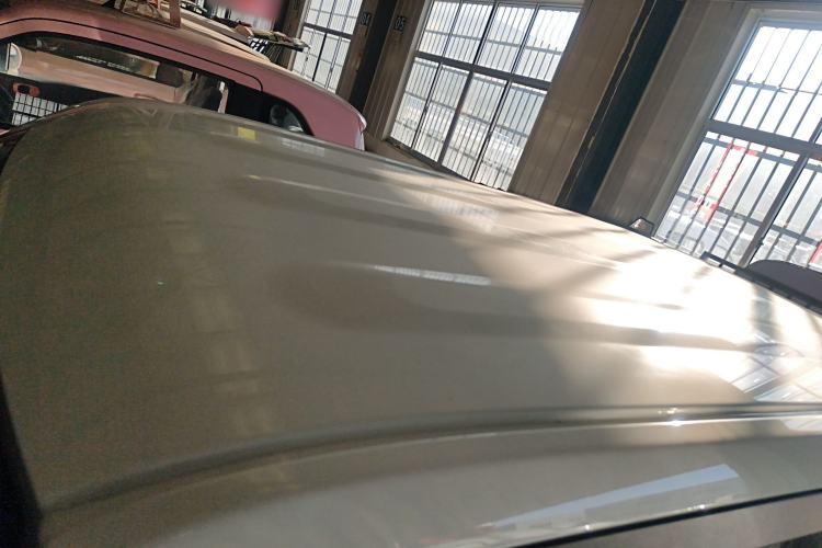 Used  Panda 2024 Panda Mini 200km Endurance Bear
