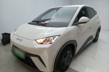 Used BYD Seagull 2024 Honor Edition 305km Dynamic Version