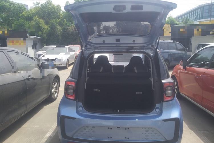 Used SOL E10X 2022 Flower Fairy Design Four-Leaf Clover
