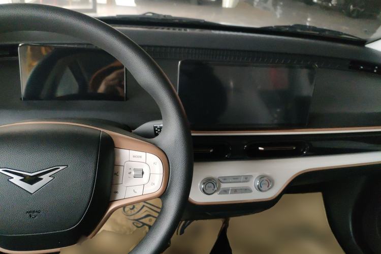 Used Cowin October 2025 Mate 300km Surfing Edition