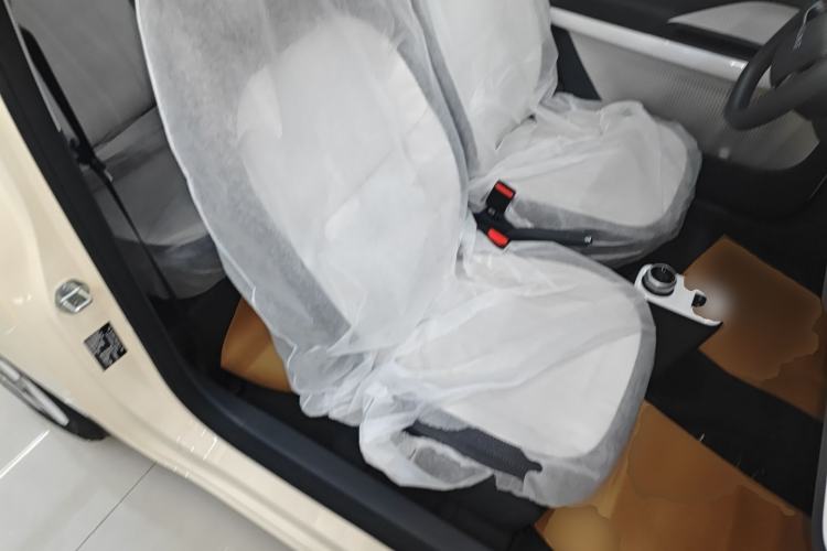 Used  Panda 2025 210 km – Yuanqi Bear
