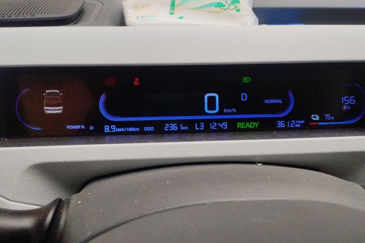 Used  Panda 2024 Panda Mini 200km Endurance Bear
