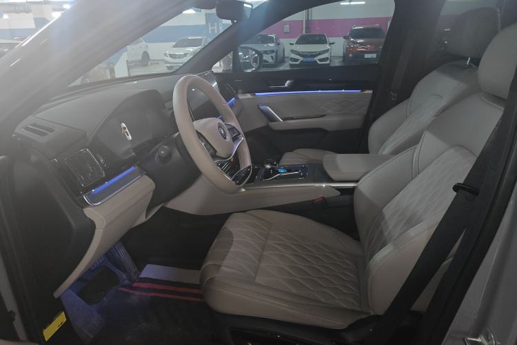 Used BYD Tang New Energy 2025 DM-i 115KM Prestige Model