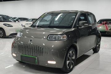 Used ORA White Cat 2020 305 km Luxury Version